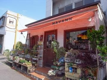 ハバンク（ＨＡＶＡＮＫ）