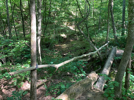 Rock Cave Nature Preserve - Parking Area - Thumbnail