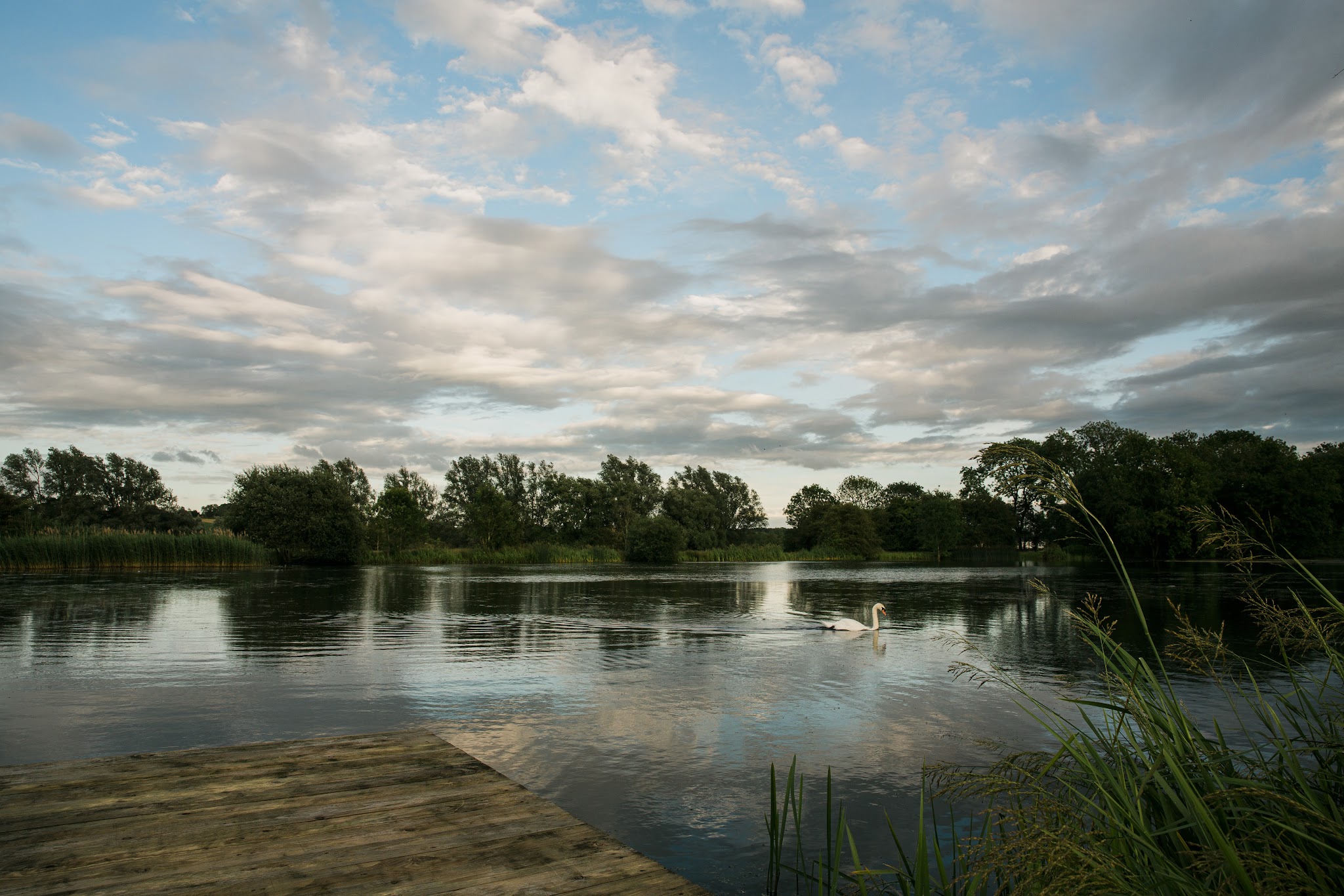 Berryfields - Venues - photo 1