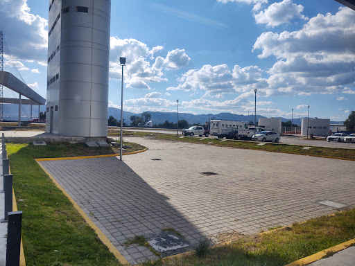 Arco de Seguridad Palmar de Bravo