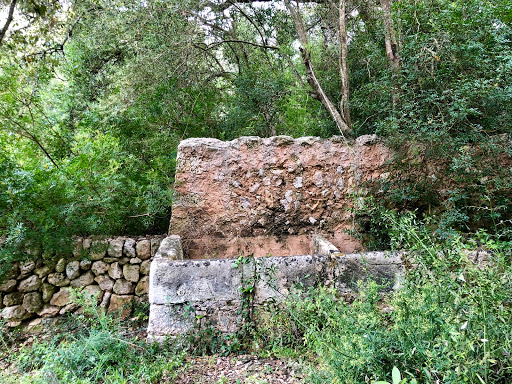 Camí Natural Camí de Cavalls - Pas del barranc de La Cova Gallery - Spain