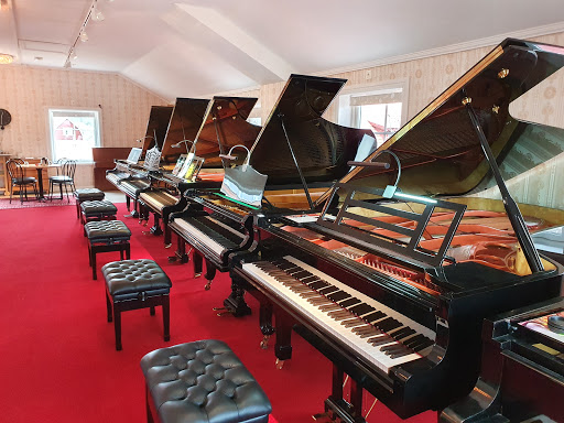 Din Pianostämmare i Siljansbygden / Johan Michael Björn Thomasson - Thumbnail