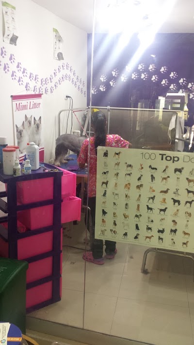 Photos of Mascoplanet Pet Shop