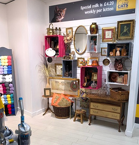 Cats Protection - Carlisle Charity Shop photo 2
