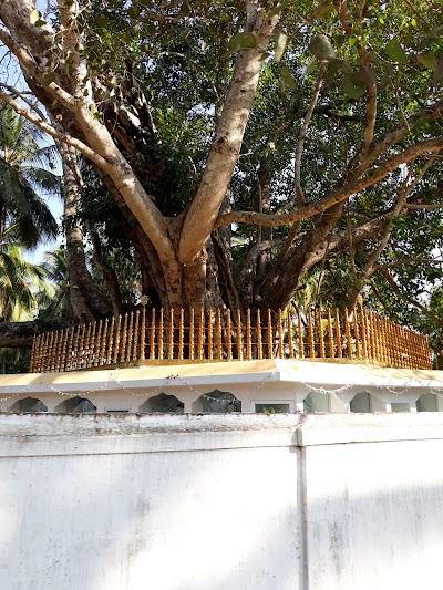 Photos of Sri Sumangalaaraamaya Temple, Thiragama