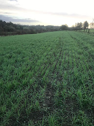 Photo n°19 de BARA MOD KOZH PAIN PAYSAN BIO AU FEU DE BOIS - SCEA FEURM HENT AER - LIGNOL - LE CROISTY - Le Provost à Lignol (Boulangerie)