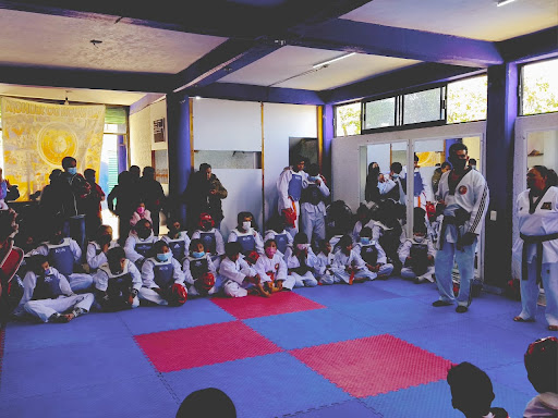 Instituto Seungja de Taekwondo y Defensa Personal - Thumbnail