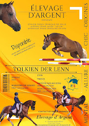 Photo n°7 de Elevage d’Argent à Saint-Usuge (Club d'équitation)