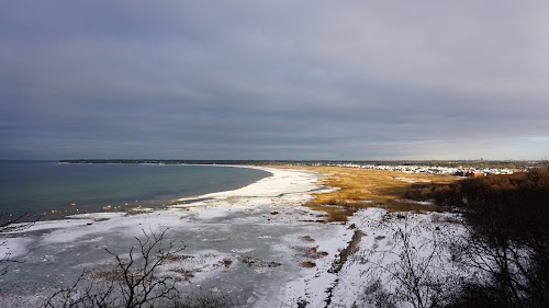 Tabasalu loodusõpperada