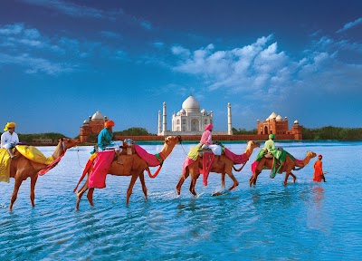 Photos of Egygate Travel Company