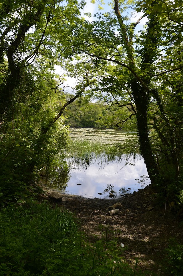 Stackpole Estate (National Trust) (Home Farm)