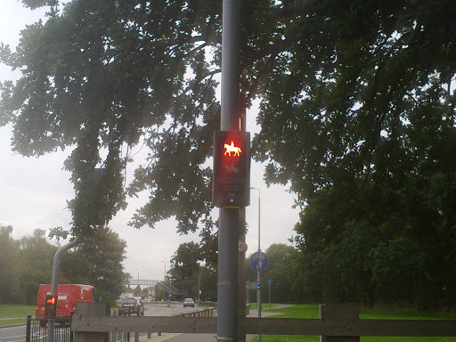 Stanford Road - Thumbnail