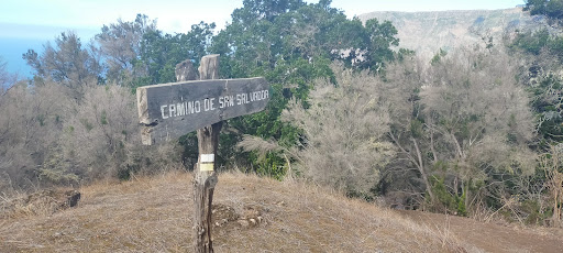 Tramo Sendero Los Llanillos-San Salvador - Thumbnail