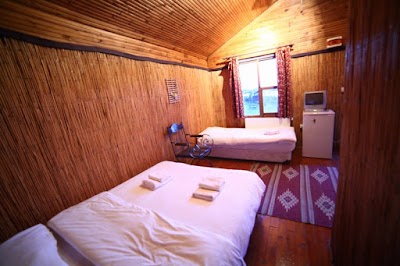 Photos of Woodyville Tree Houses and Cowboy City