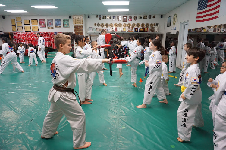 North American Taekwondo and Hoijeon Moosool Academy - karate in Ypsilanti, Michigan