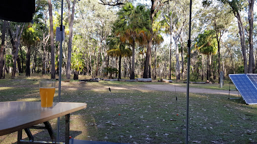 Carnarvon Gorge camping area, Carnarvon National Park - Thumbnail