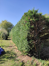 Photo n°6 de Alex BTP multi services est espace verts taille et coupe à Ouzilly (Société de travaux publics)