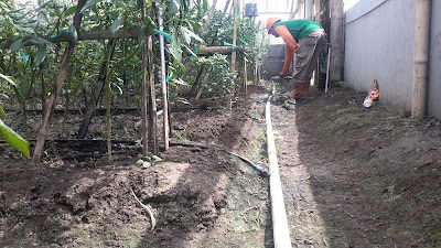 Photos of PT. Bisi International Tbk
