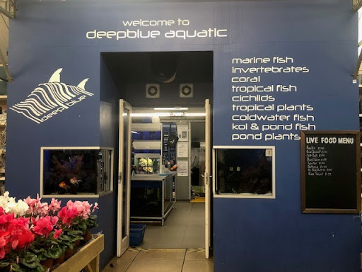 Deepblue Aquatic - Visual