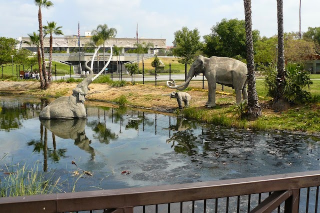 La Brea Tar Pits