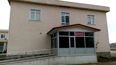 Yalova University Institute of Science and Technology