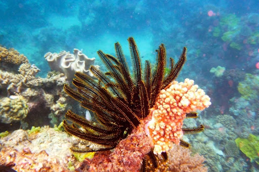 Port Douglas Camera Hire