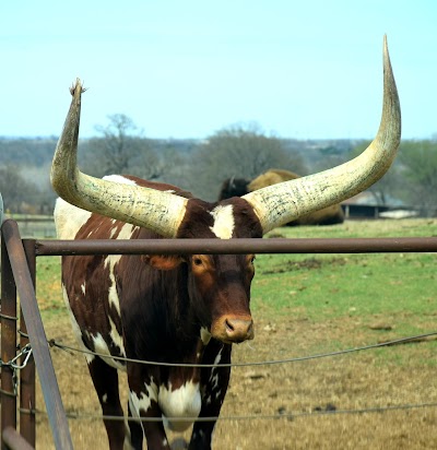 Arbuckle Wilderness