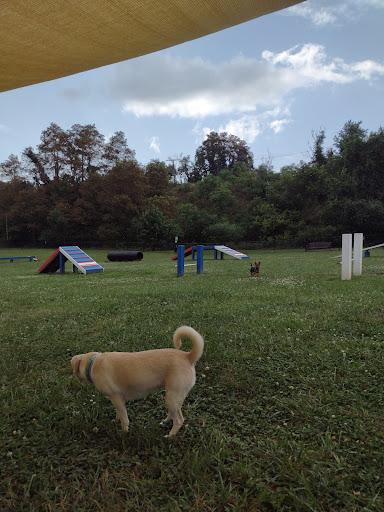 Wood-Ruff Dog Park and CPD Canine Training Facility - Thumbnail