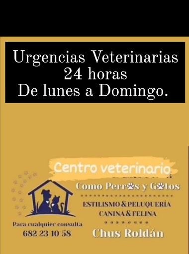 Https://www.Como Perros & Gatos.es/contacto - Visual