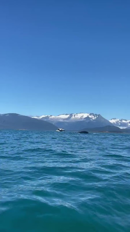 Juneau Vacation Homes - project photo