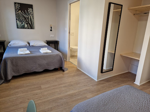 Hôtel Patricia - Strasbourg Hyper Centre by null