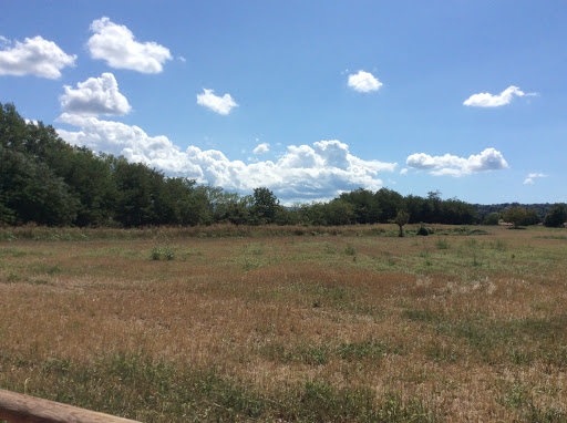 Greenway, Rivanazzano Terme, PV, Italia - Thumbnail
