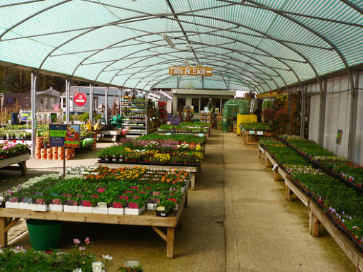 Hillier Garden Centre Newbury - Thumbnail