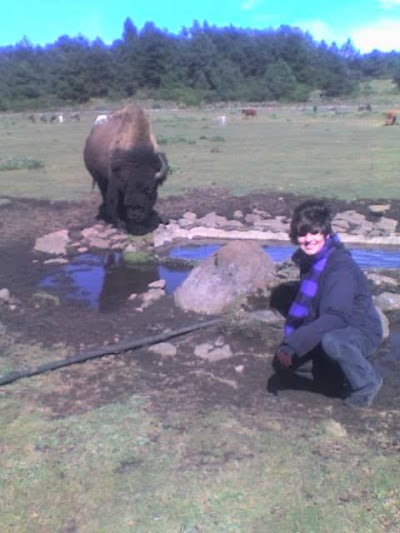Photos of Valle Alegre