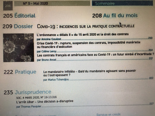International divorce PARIS. Renowned Attorney. - Thumbnail