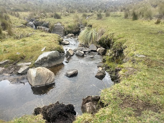 Parc national Cajas