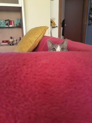 Nuovo Look Di Canino Concetta Parrucchiera Donna