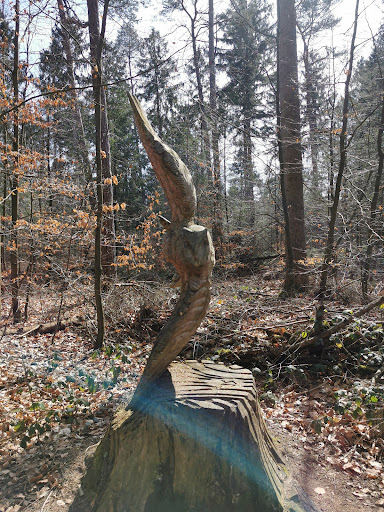 Wanderweg am Waldfriedhof - Thumbnail