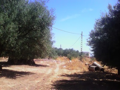 Photos of Tala Rana Cafe