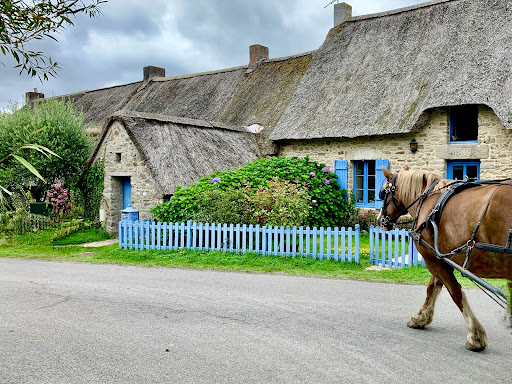 L'Arche Briéronne Gallery - France