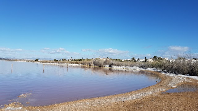 Laguna Rosa