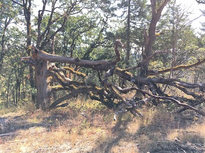 Timberhill Natural Area