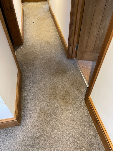 RC Professional Cleaning Services - Thumbnail