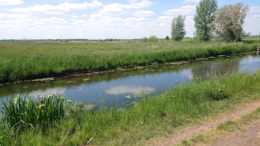 Krebsscherenteich