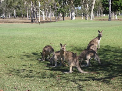 Photos of Mareeba Golf Club