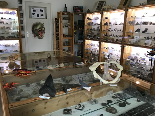 Fossielenmuseum Oeroud Gallery - Netherlands