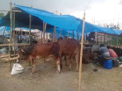 Photos of Dendabor Habibiyaa Yakubiyaa Madhrasa Mosque