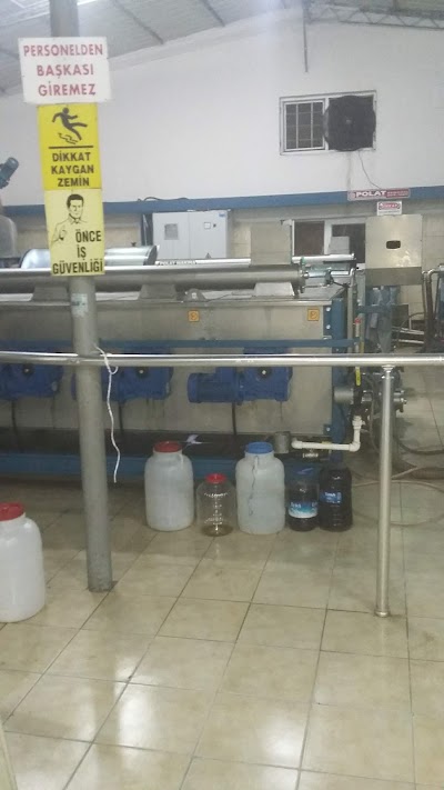 Çıkla Olive Oil Factory