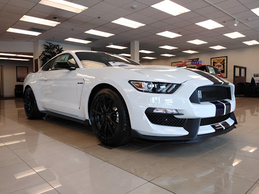 Korum Ford - Visual