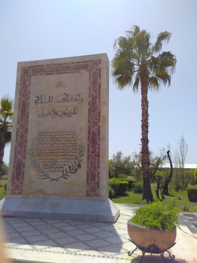 Photos of Oasis Hassan II